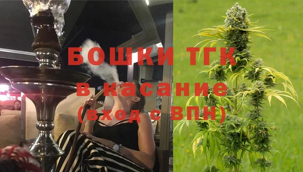 шишки Вяземский